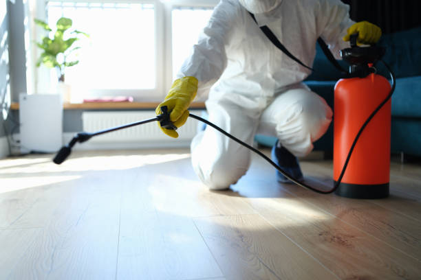 Reliable Odor Removal contractor in Hanover, MA by Trauma Clean Pros
